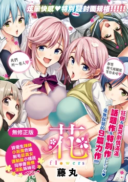 Page 1 of Hana flowers | 花 flowers