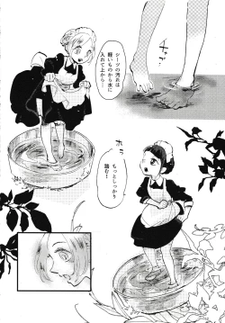 Page 13 of Rosenlitter 3&4&5