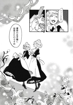 Page 20 of Rosenlitter 3&4&5