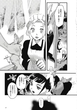 Page 48 of Rosenlitter 3&4&5