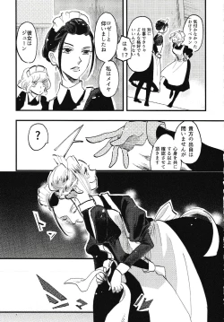 Page 8 of Rosenlitter 3&4&5