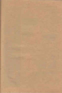 Page 2 of Isekai de, Dōgyōsha to Futari Kiri.