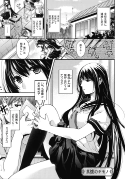 Page 41 of Meguriyo no Kemono