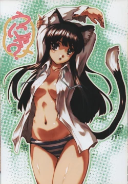 Page 21 of Purindou Diary