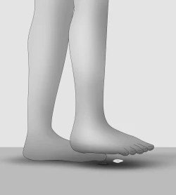 Page 492 of Female Students Working Part-Time In Prison