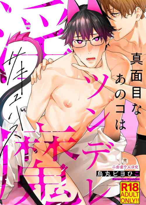 Download Majime na Anoko wa Tsundere Inma