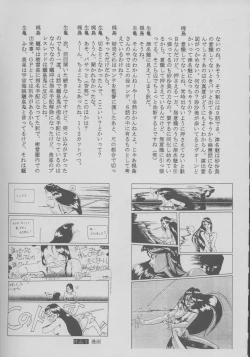 Page 43 of Shiomiroku