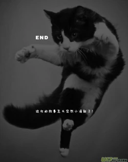 Page 285 of 日渐崩坏的世界 第051-100话