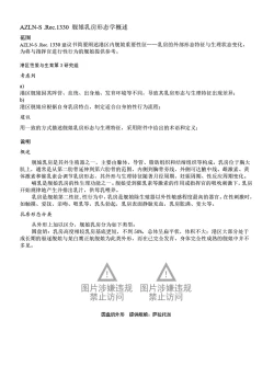 Page 13 of 碧蓝航线系列 匹兹堡