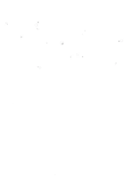 Page 3 of Togainu no Chi  - Orange oil | Inugata Summit