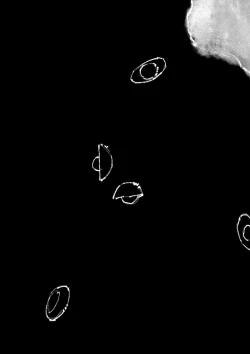 Page 223 of 金瓶梅 1-22+番外