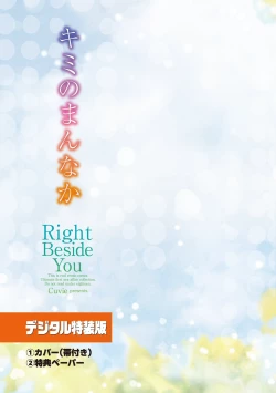 Page 239 of kimi no mannaka