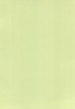 Page 4 of T.Crusher.TAURUS