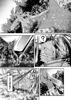 Page 4 of Drakkokun Hon