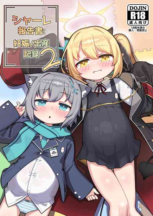 Download SCHALE Houkokusho: Ninshin / Shussan Kiroku2