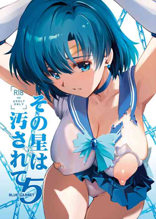 [BLUE GARNET (Serizawa Katsumi)] Sono Hoshi wa Yogosarete 5 (Bishoujo Senshi Sailor Moon) [Digital]