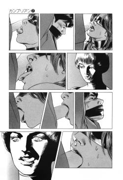 Page 12 of Cambrian Vol. 2