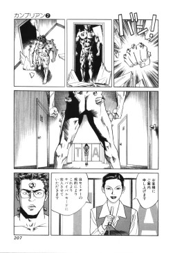 Page 207 of Cambrian Vol. 2