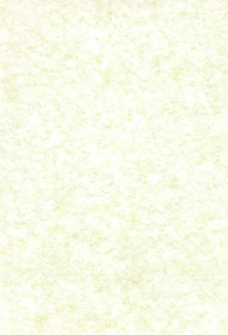 Page 38 of Rymphet Maniax