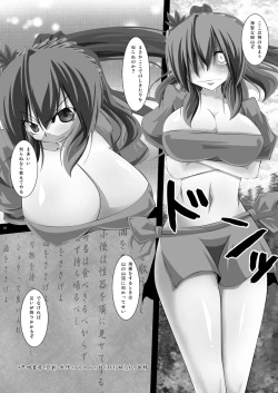 Page 17 of 東方年増宴・神