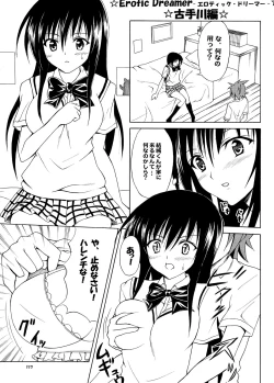 Page 116 of Tora ★ Tora ～To Love-Ru Soushuuhen～