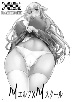 Page 2 of High Elf x High School