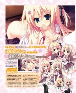 Page 13 of DENGEKI HIME 2014-05