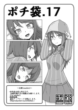 Page 1 of Pochibukuro. 17