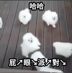 Page 19 of 高田香子+櫻下佳奈