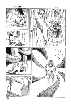 Page 163 of Cambrian Vol. 3