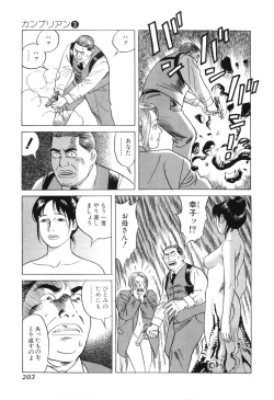 Page 205 of Cambrian Vol. 3