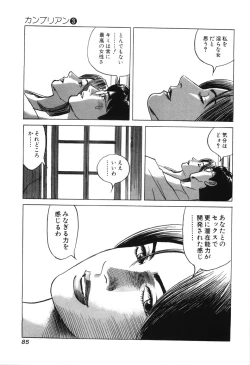 Page 87 of Cambrian Vol. 3