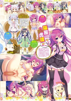 Page 14 of Monthly Megastore 2018-01