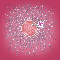 Page 10 of Yumi's Study Abroad/由美的留学生活（汉化）（连载中）