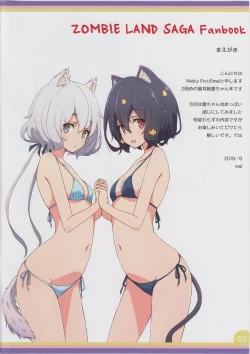 Page 2 of Cat Land SAGA 2