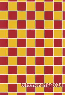 Page 30 of Hajimete Tsukenai