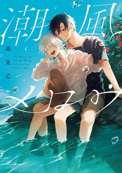 Download Shiokaze Mellow | 海风轻柔