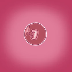 Page 29 of Yumi's Study Abroad/由美的留学生活（汉化）（连载中）