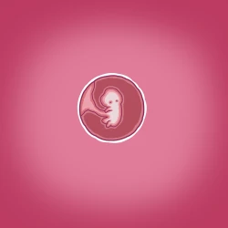 Page 41 of Yumi's Study Abroad/由美的留学生活（汉化）（连载中）