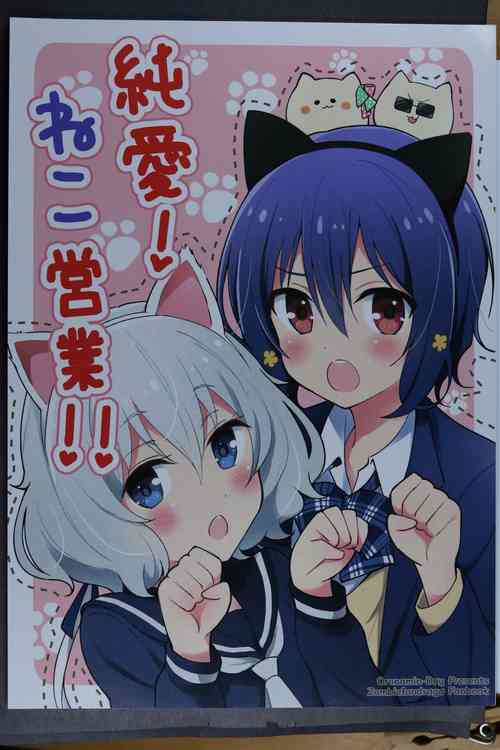 Download Junai! Neko Eigyou!!