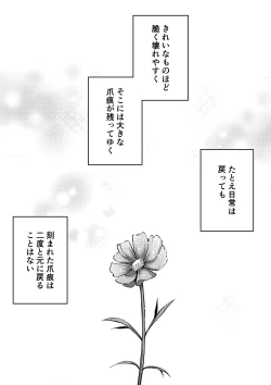 Page 4 of Tsumeato