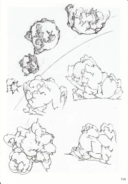 Page 221 of DEAD WOOD DESIGNS