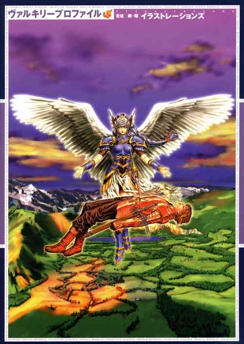Download Valkyrie Profile Settings Data Collection_20241021