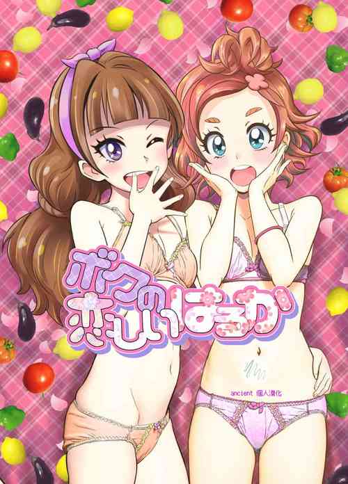 (C90) [Gramp (Jinkou Chinou)] Boku no Koishii Haruka (Go! Princess PreCure) [Chinese] [ancient个人机翻汉化]