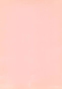 Page 4 of PiiPuu Kanzenban