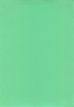 Page 4 of Little Little Princess