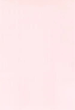 Page 4 of PPG FLASH!