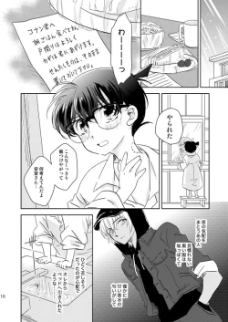 Page 13 of Hoshi o Tsukamaeta Yoru no Koto