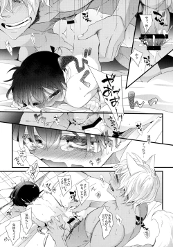 Page 14 of Hatsujou Inu ni Gochuui!!