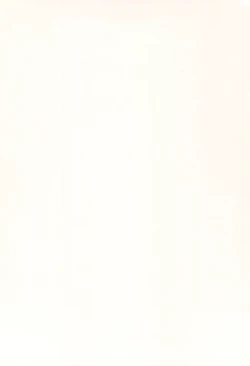 Page 32 of Nika Tsuushin 3